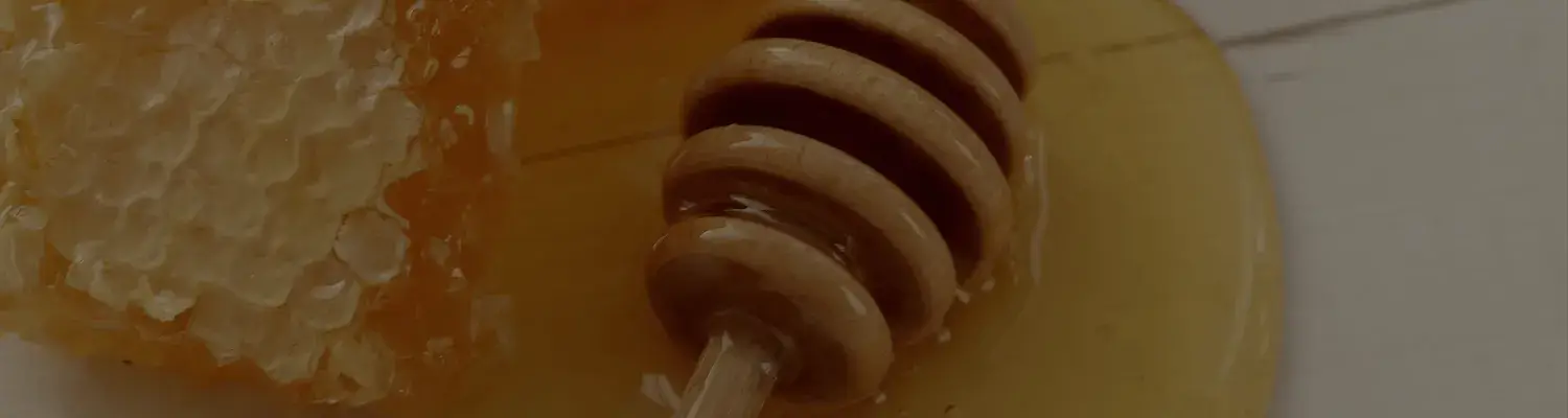 Producción Apícola Miel Argentina