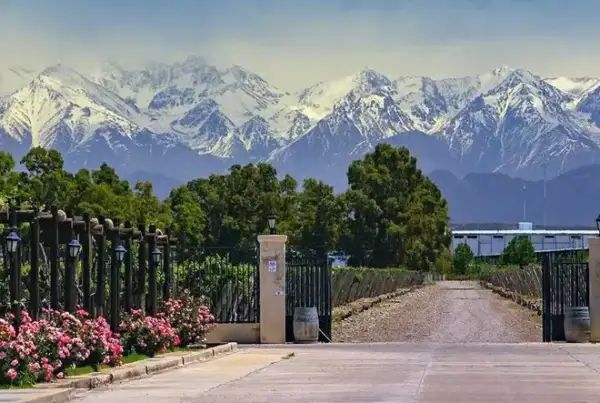 Bodega Finca Agostino Wines, en Mendoza
