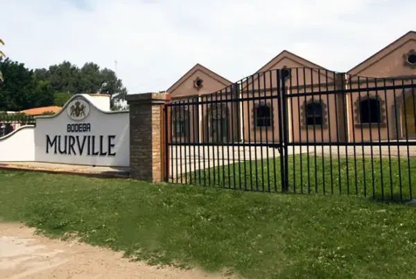 Bodega Murville, en Mendoza