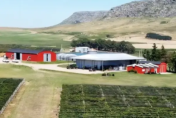 Bodega Puerta del Abra, en Balcarce, Buenos Aires