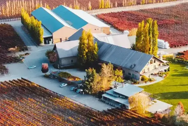 Bodega Susana Balbo Wines en Mendoza, Argentina