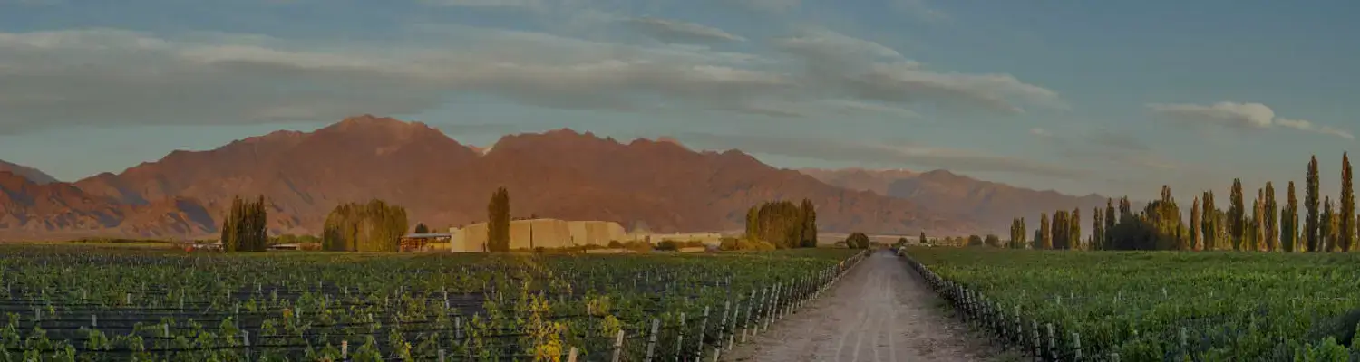 Zuccardi Wines