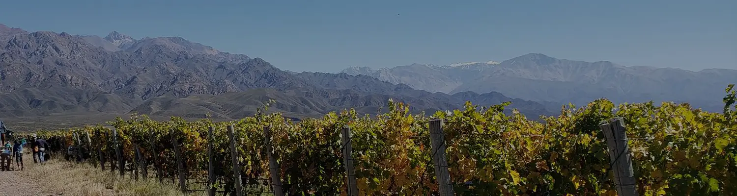 Albaflor Wines