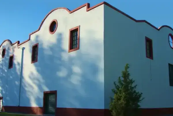 Bodega Infinitus en el Alto Valle de Río Negro