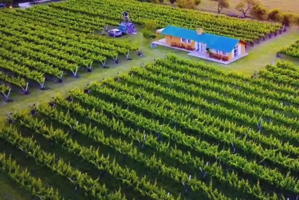 Bodega Los Aromitos, en Colonia Ensayo, Entre Ríos