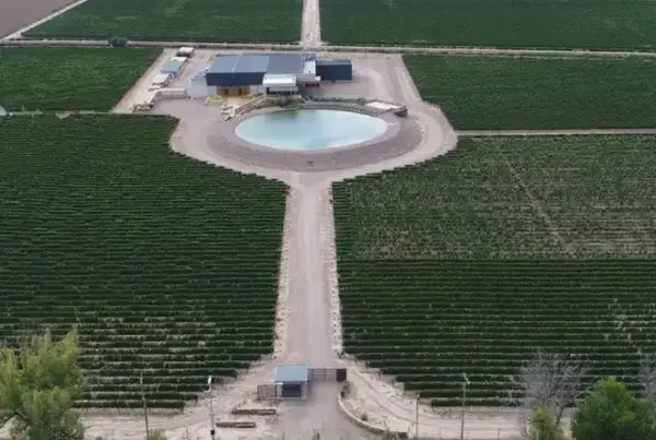 Bodegas Budeguer, en Agrelo, Luján de Cuyo, Mendoza