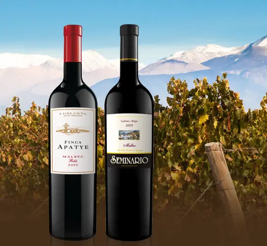 Bodega Apatye, en Lunlunta, Maipú, Mendoza Bodega Apatye, en Lunlunta, Maipú, Mendoza