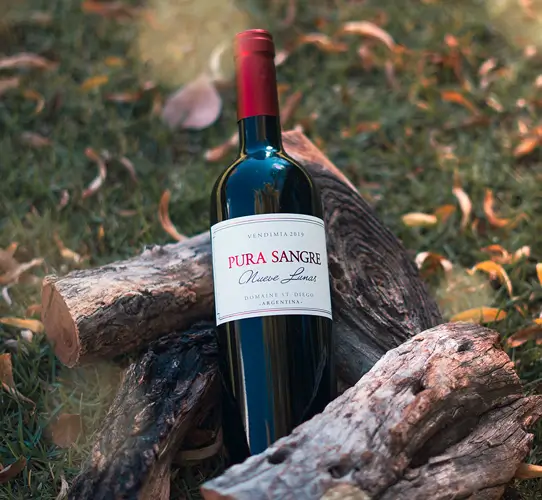 Bodega Domaine Saint Diego, en Lunlunta, Maipú, Mendoza Bodega Domaine Saint Diego, en Lunlunta, Maipú, Mendoza