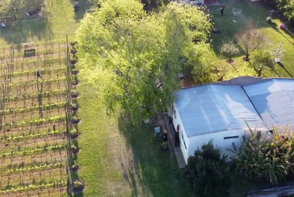 Bodega Finca Los Teros, en Paraná, Entre Ríos