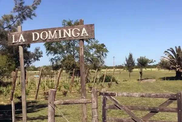 Bodega La Dominga, en Gualeguaychú, Entre Ríos