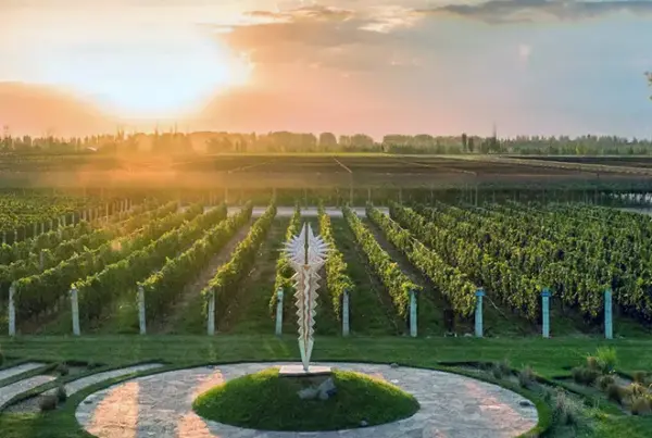 Bodega Norton, Luján de Cuyo, Mendoza