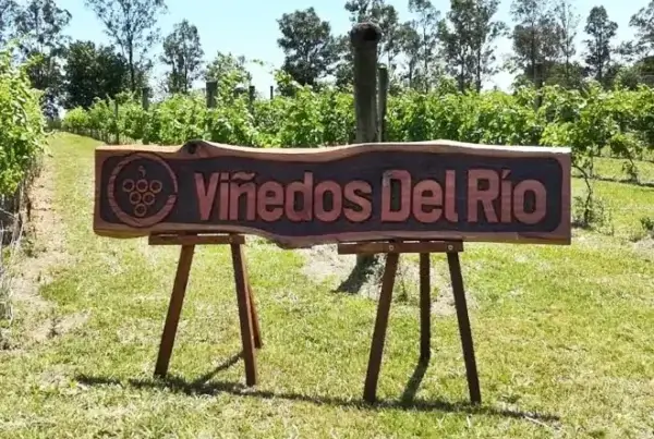 Bodega Viñedos del Río, en Concepción del Uruguay, Entre Ríos