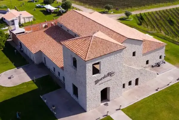 BordeRío Bodega & Viñedos, en Victoria, Entre Ríos