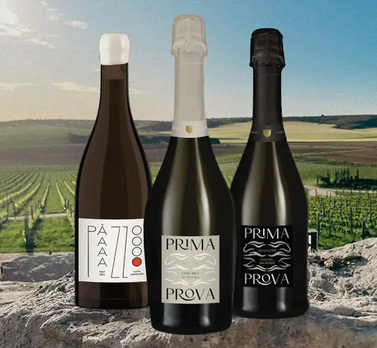 Bodega Castel Conegliano en Mar del Plata Bodega Castel Conegliano en Mar del Plata