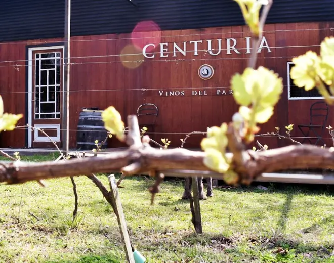 Bodega Centuria, en Paraná, Entre Ríos Bodega Centuria, en Paraná, Entre Ríos
