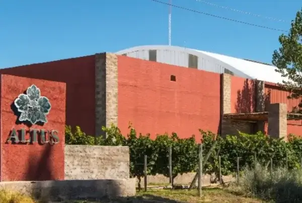 Bodega Altus & Gualtallary, en Mendoza