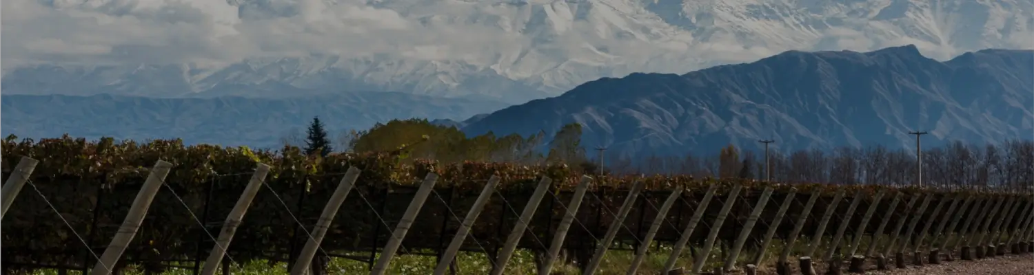 Aristides Wines